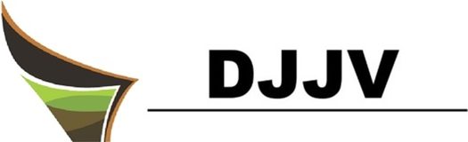 DJJV COM E REPRESENTACOES LTDA